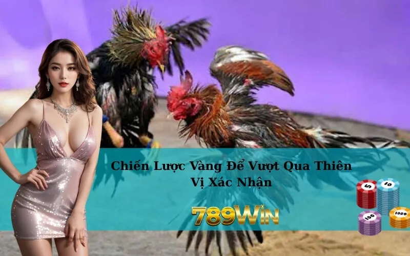 Chiến Lược Vàng Để Vượt Qua Thiên Vị Xác Nhận