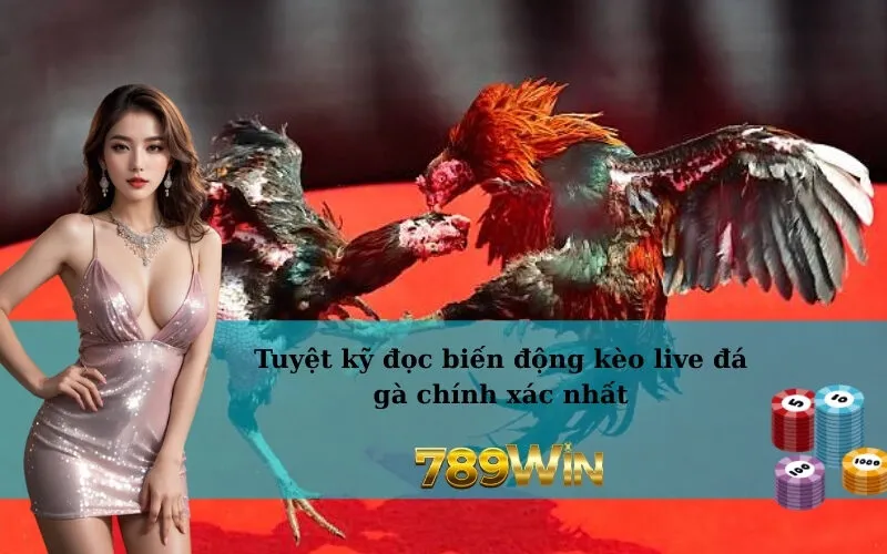 Tuyệt kỹ đọc biến động kèo live đá gà chính xác nhất